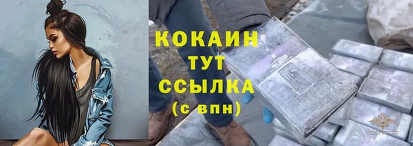apvp Новодвинск