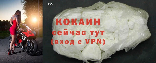СК Новозыбков