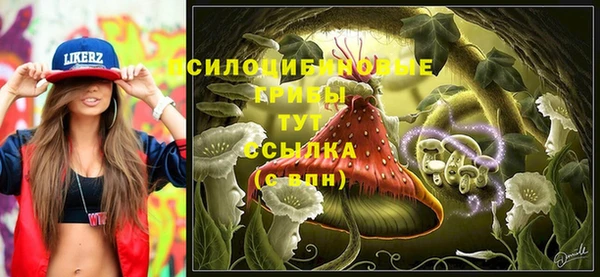 мяу мяу мука Новокубанск