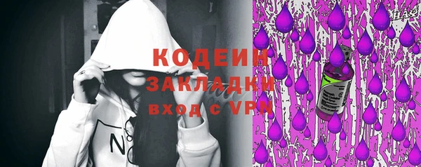 СК Новозыбков