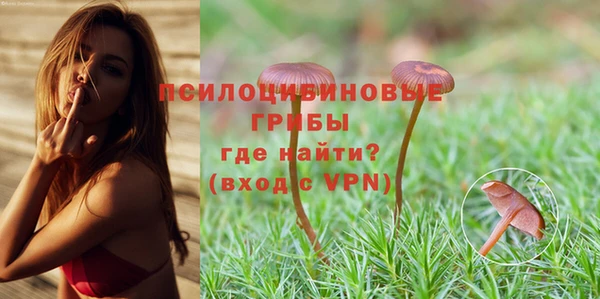 apvp Новодвинск