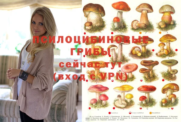 мяу мяу мука Новокубанск