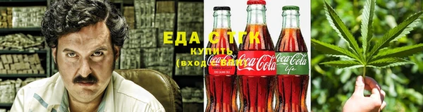 СК Новозыбков