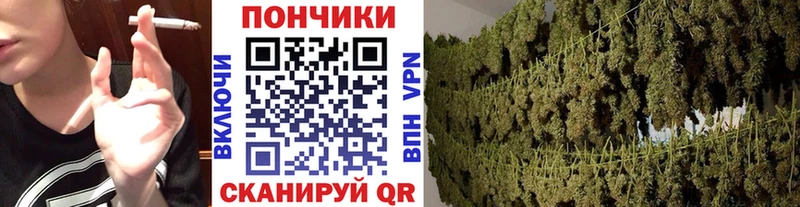Купить  Сергач  Каннабис Ganja 